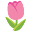 :tulip: